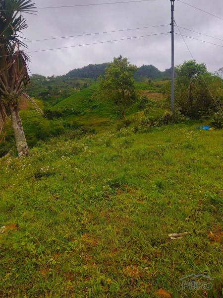 Picture of Agricultural Lot for sale in Cebu City in Cebu