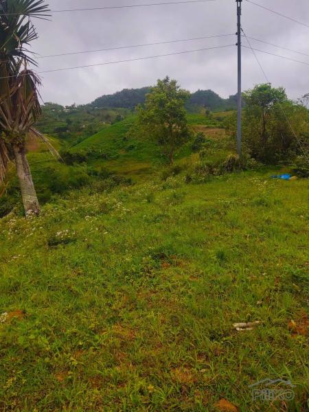 Agricultural Lot for sale in Cebu City - image 5