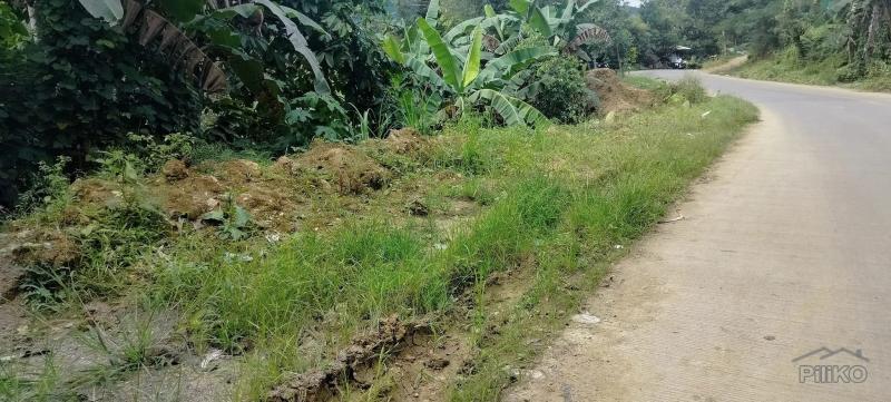 Agricultural Lot for sale in Cebu City - image 2