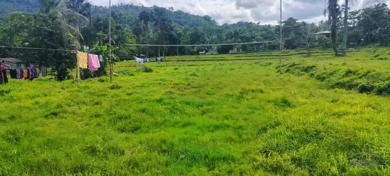 Agricultural Lot for sale in Cebu City