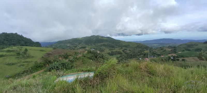 Agricultural Lot for sale in Cebu City - image 10