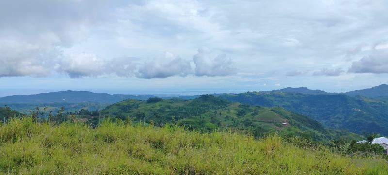 Agricultural Lot for sale in Cebu City - image 3
