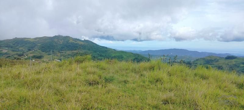 Agricultural Lot for sale in Cebu City - image 4