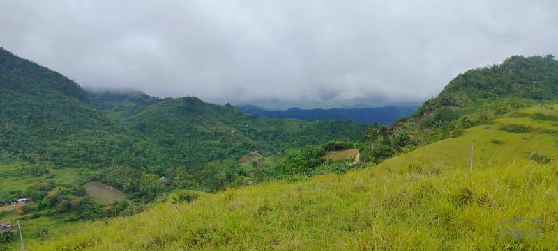 Agricultural Lot for sale in Cebu City - image 6