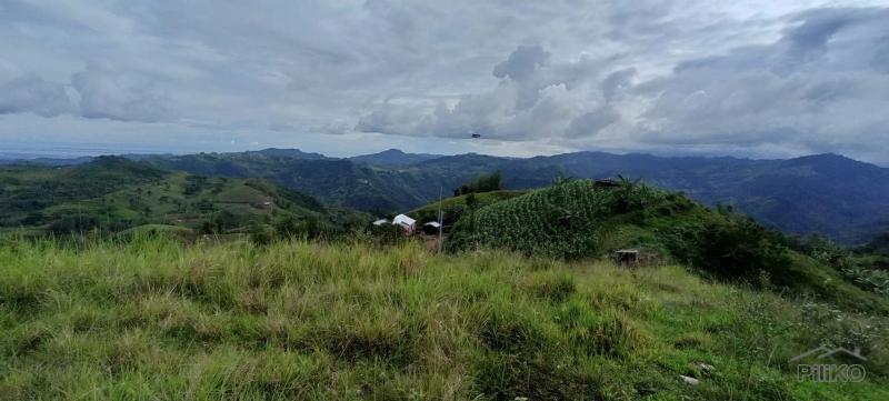 Agricultural Lot for sale in Cebu City - image 7