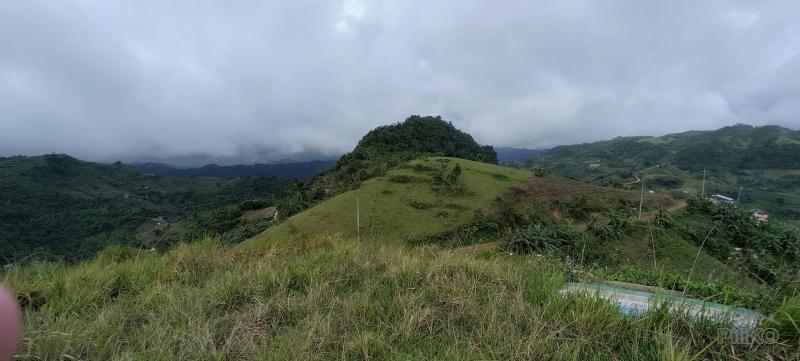 Agricultural Lot for sale in Cebu City - image 8
