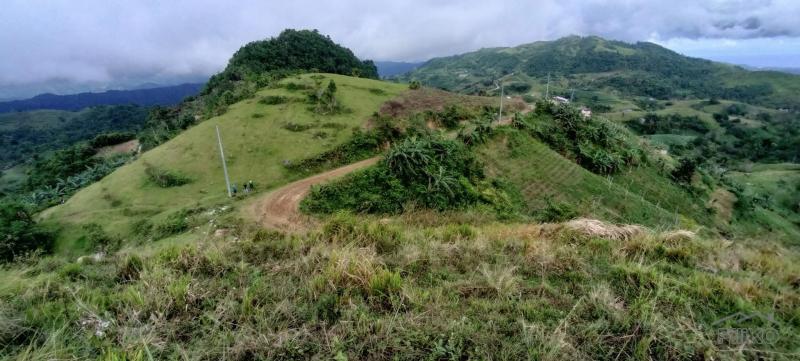 Agricultural Lot for sale in Cebu City - image 9