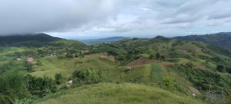 Agricultural Lot for sale in Cebu City - image 2