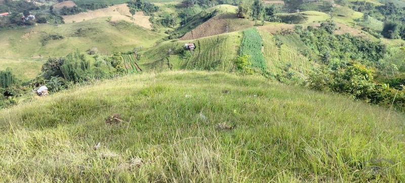 Agricultural Lot for sale in Cebu City - image 3