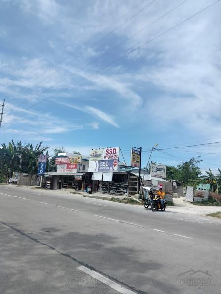 Picture of Commercial Lot for sale in Bogo in Philippines