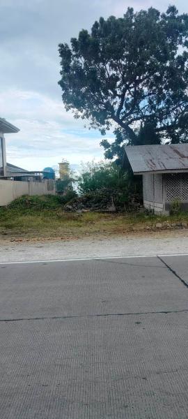Residential Lot for sale in Garcia Hernandez in Bohol