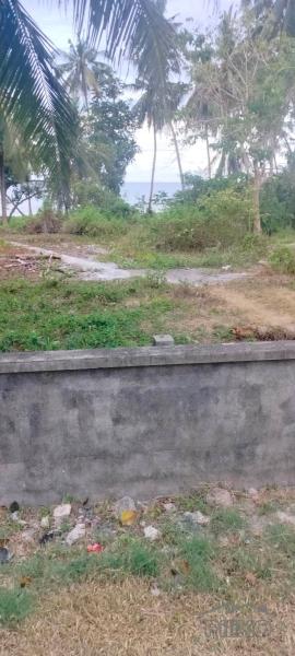 Agricultural Lot for sale in Duero - image 2