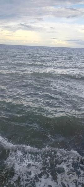 Pictures of Residential Lot for sale in Jagna