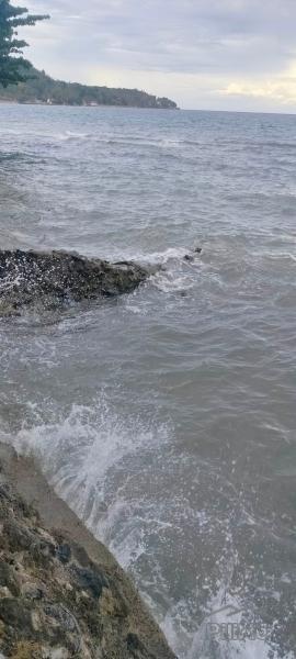 Residential Lot for sale in Jagna - image 2