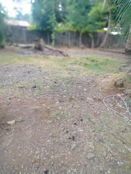 Residential Lot for sale in Jagna - image 5