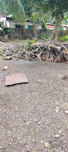 Residential Lot for sale in Jagna - image 7