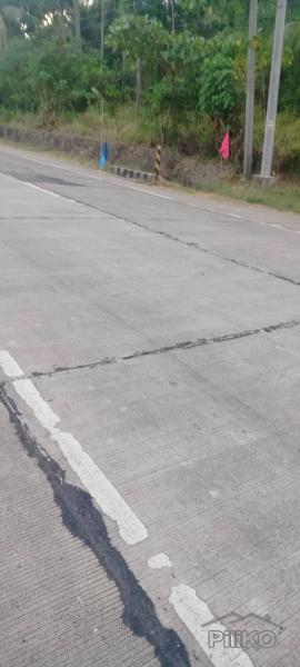 Commercial Lot for sale in Jagna - image 2