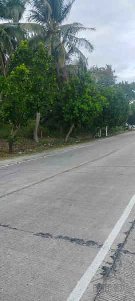 Commercial Lot for sale in Jagna in Philippines
