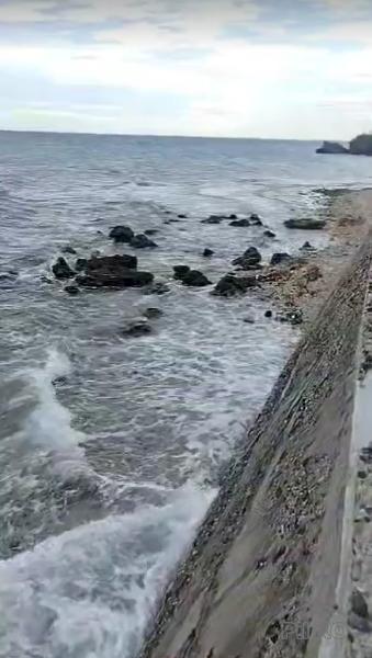 Commercial Lot for sale in Jagna - image 5