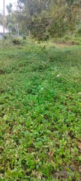 Residential Lot for sale in Duero - image 4