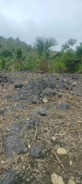 Agricultural Lot for sale in San Remigio in Philippines