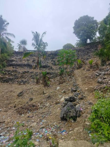 Agricultural Lot for sale in San Remigio in Philippines - image