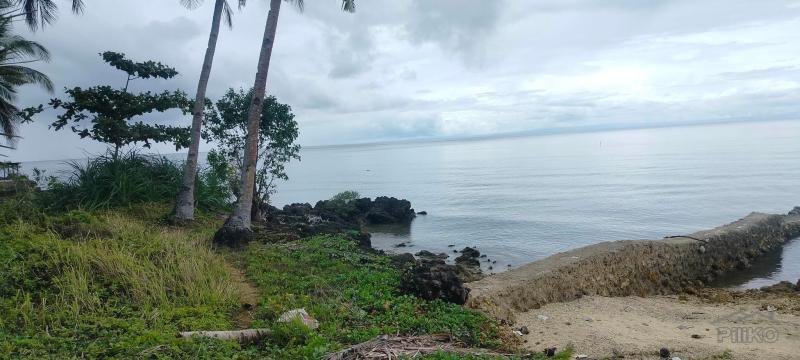 Picture of Agricultural Lot for sale in San Remigio