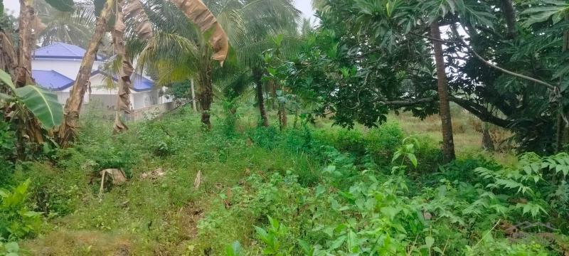 Agricultural Lot for sale in San Remigio in Cebu - image