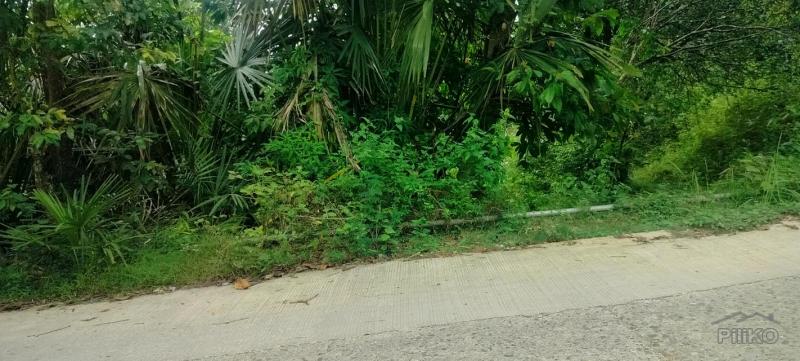 Agricultural Lot for sale in Cebu City - image 15