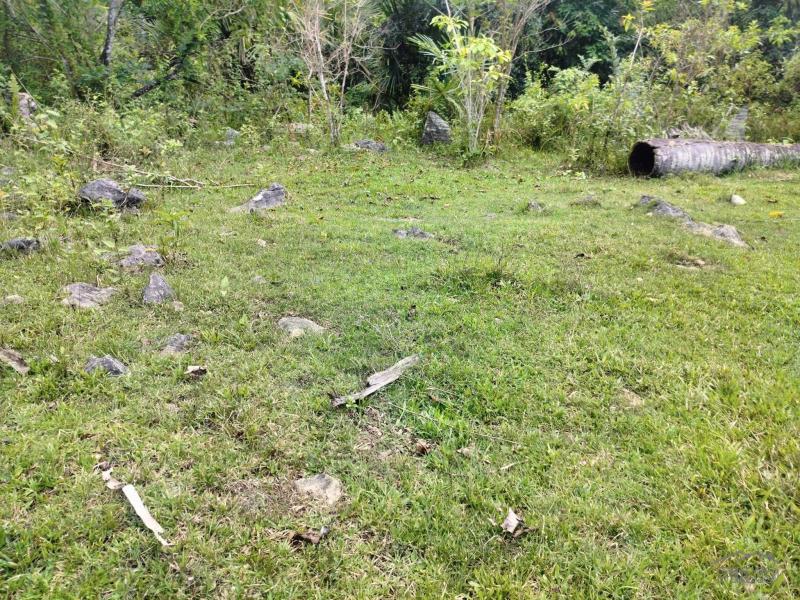 Agricultural Lot for sale in Cebu City - image 7