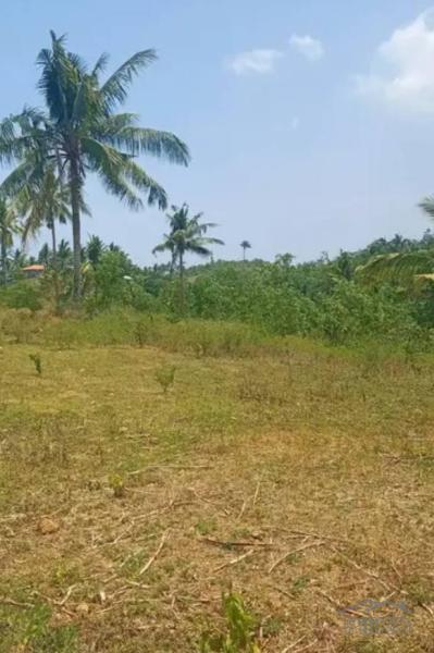 Picture of Agricultural Lot for sale in Pinamungajan