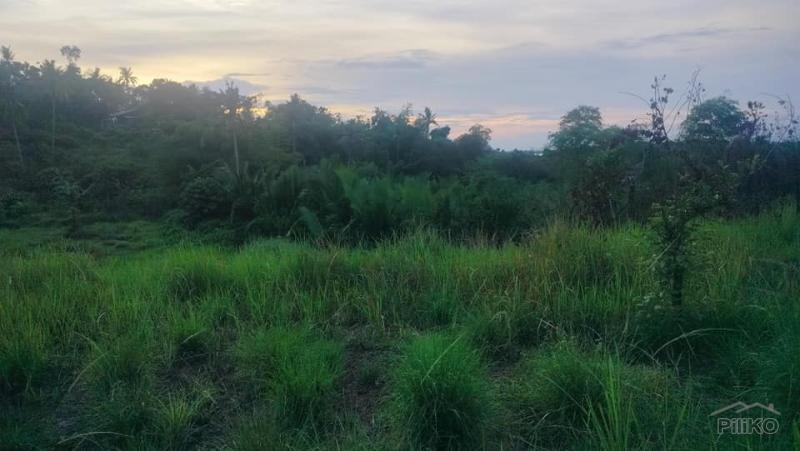 Agricultural Lot for sale in Talibon in Bohol