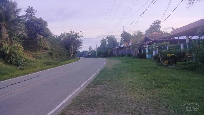 Agricultural Lot for sale in Talibon - image 6