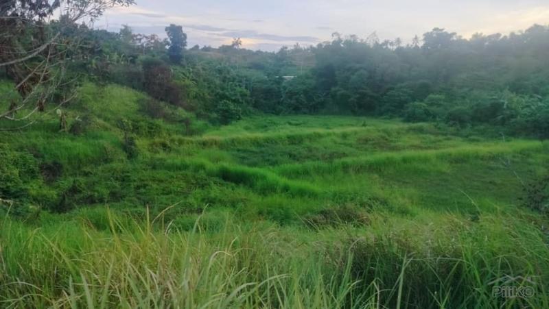 Agricultural Lot for sale in Talibon in Bohol - image
