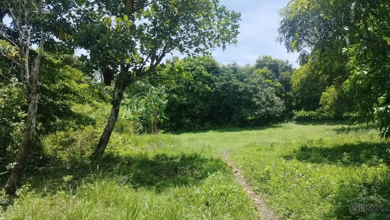 Agricultural Lot for sale in Bogo in Philippines