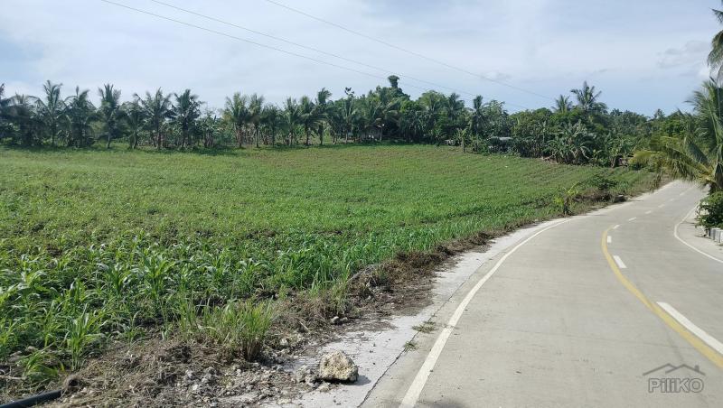 Agricultural Lot for sale in Bogo in Cebu