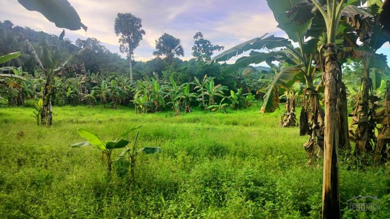 Picture of Agricultural Lot for sale in Cebu City
