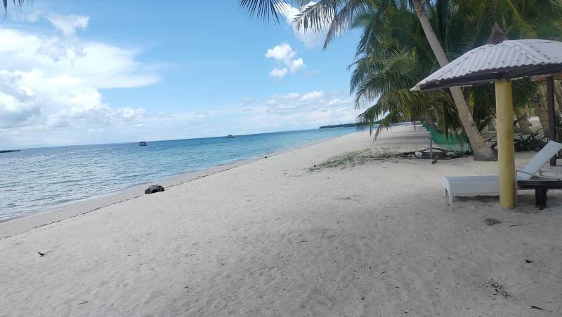 Agricultural Lot for sale in Bantayan