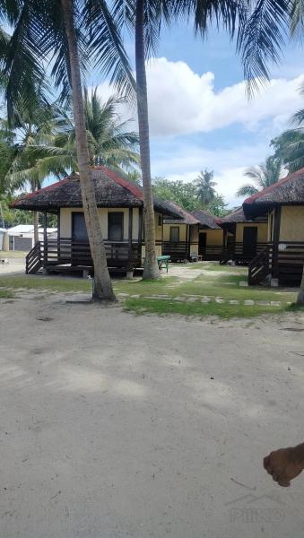 Agricultural Lot for sale in Bantayan in Cebu