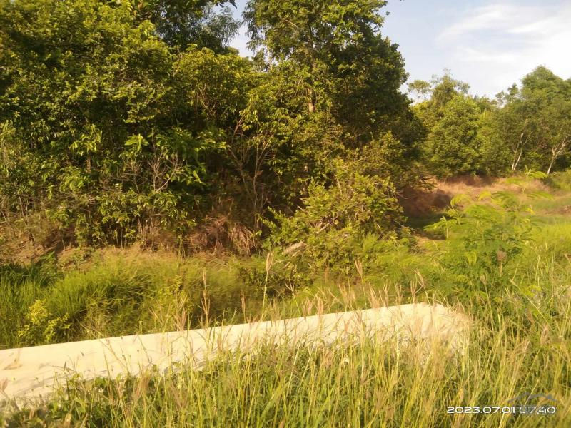 Agricultural Lot for sale in Talibon in Bohol
