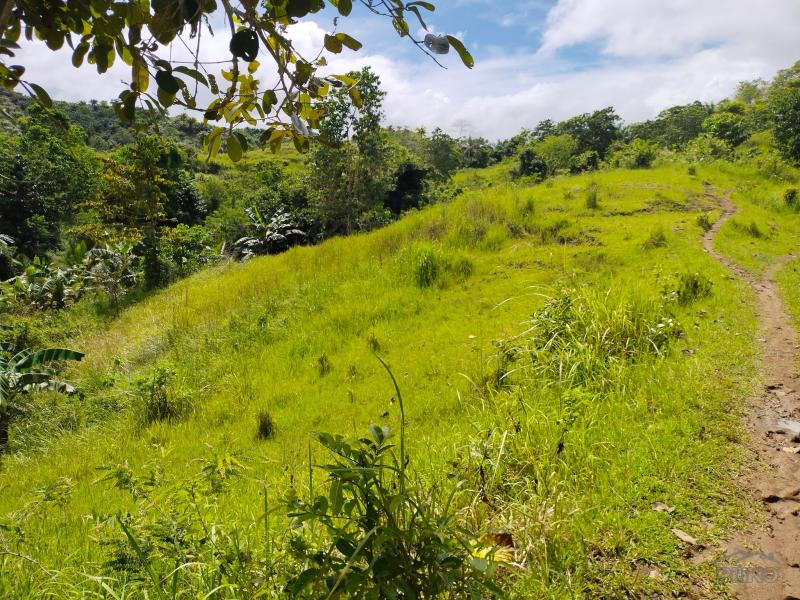 Picture of Agricultural Lot for sale in Buenavista in Philippines