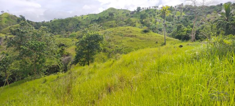 Agricultural Lot for sale in Buenavista in Philippines - image