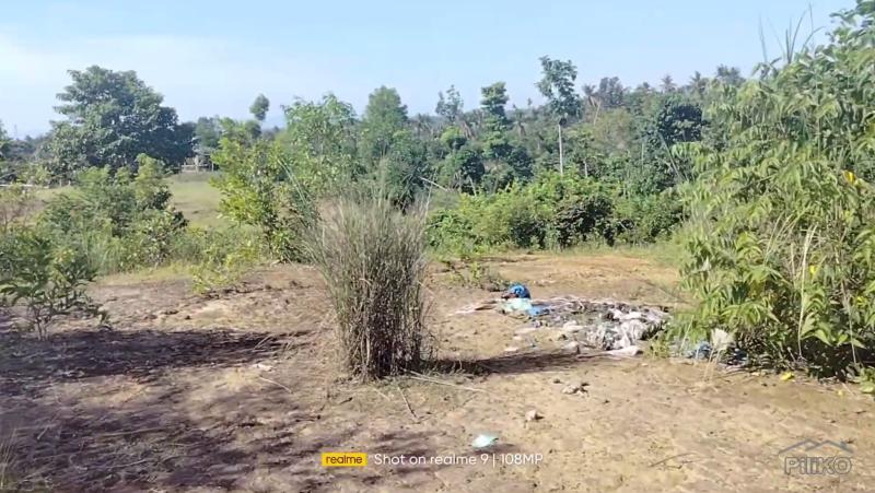 Picture of Agricultural Lot for sale in Talibon