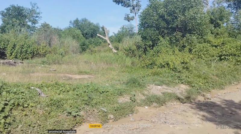 Pictures of Agricultural Lot for sale in Talibon