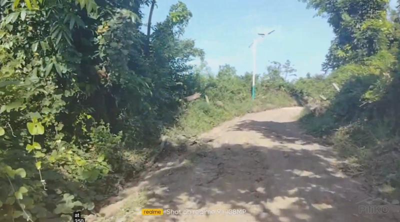 Agricultural Lot for sale in Talibon
