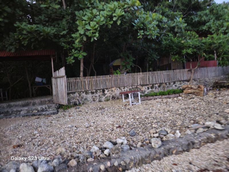 Other lots for sale in Maribojoc - image 3