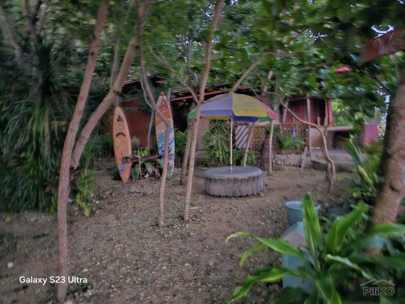 Other lots for sale in Maribojoc - image 5