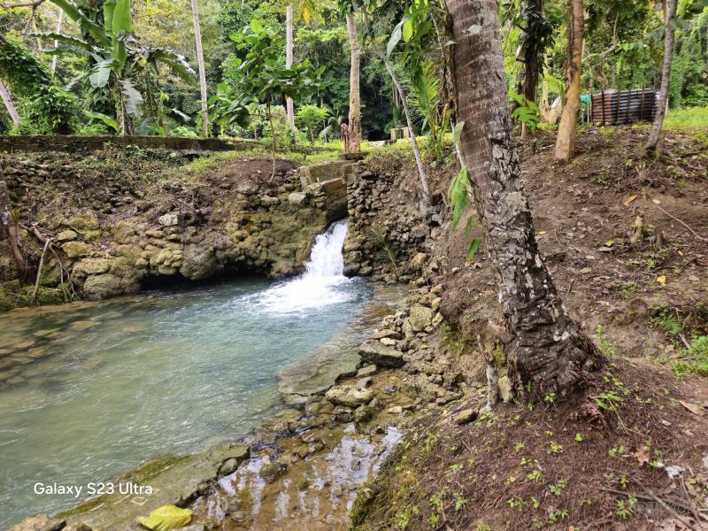 Other lots for sale in Loboc - image 5