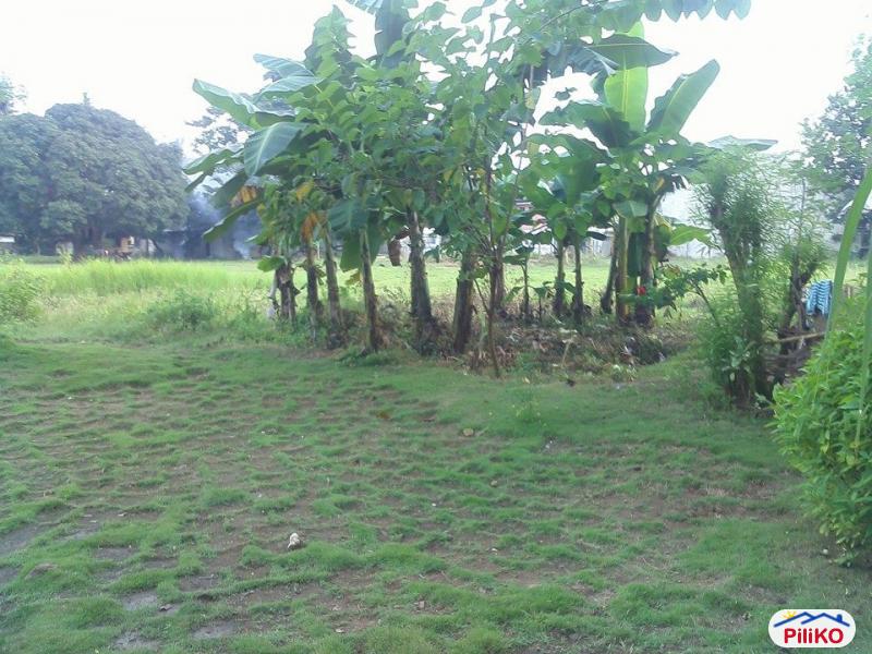Residential Lot for sale in Cebu City - image 2