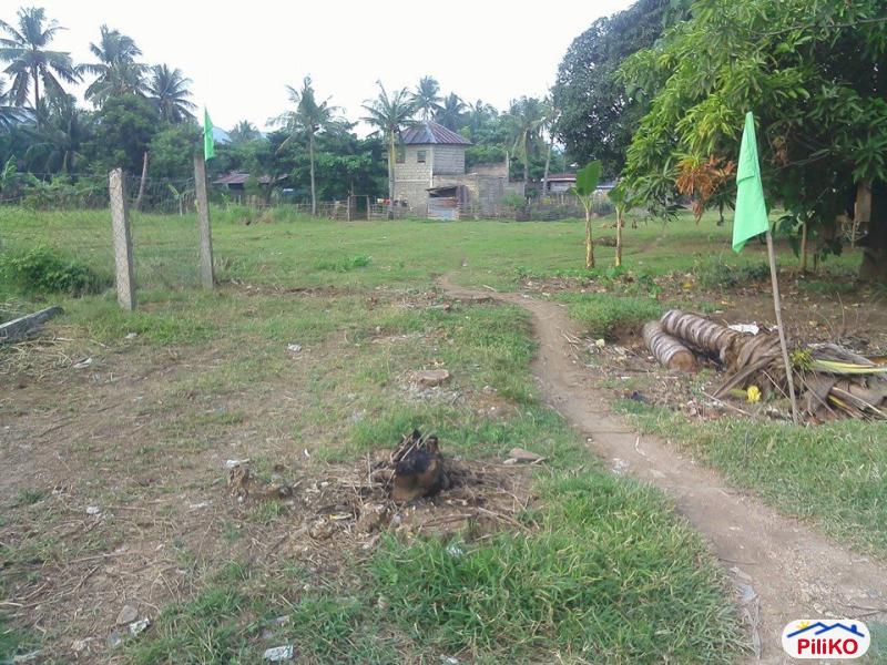 Residential Lot for sale in Cebu City - image 2